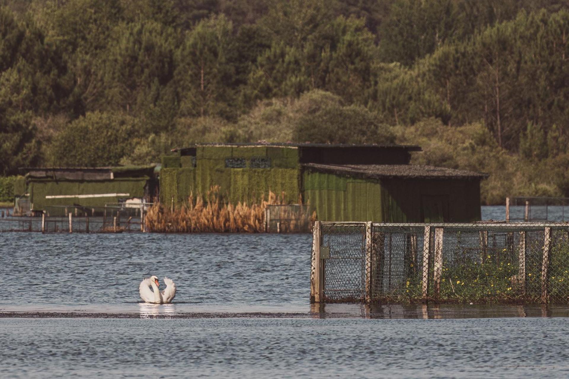 Villa De L'Etang Blanc Seignosse Luaran gambar