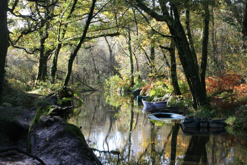 Villa De L'Etang Blanc Seignosse Luaran gambar
