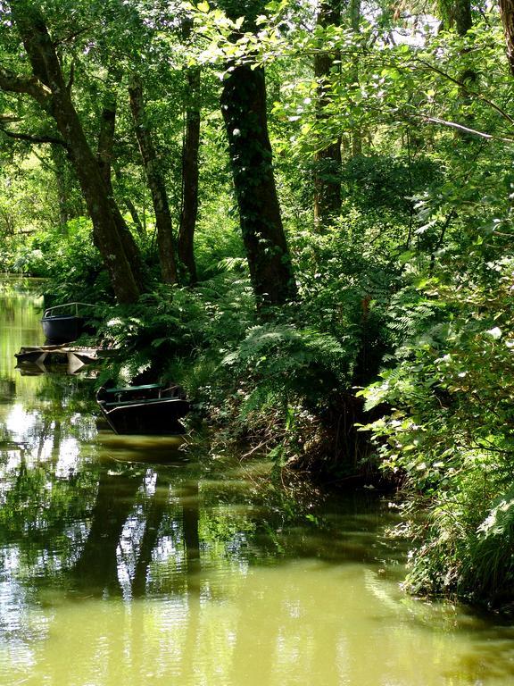 Villa De L'Etang Blanc Seignosse Luaran gambar